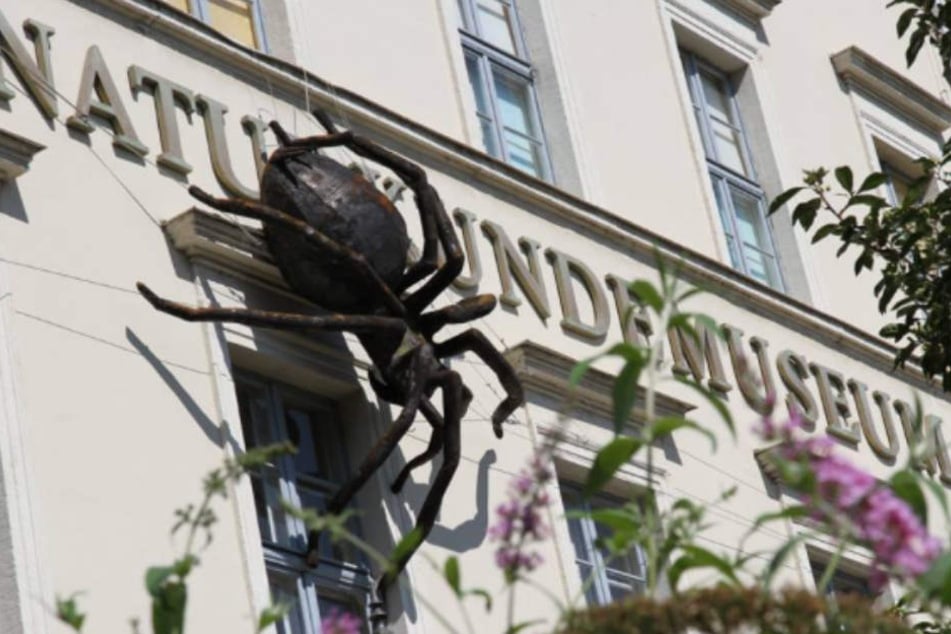 Die Stadt muss sich nach einem neuen Standort für das geplante Naturkundemuseum umsehen.