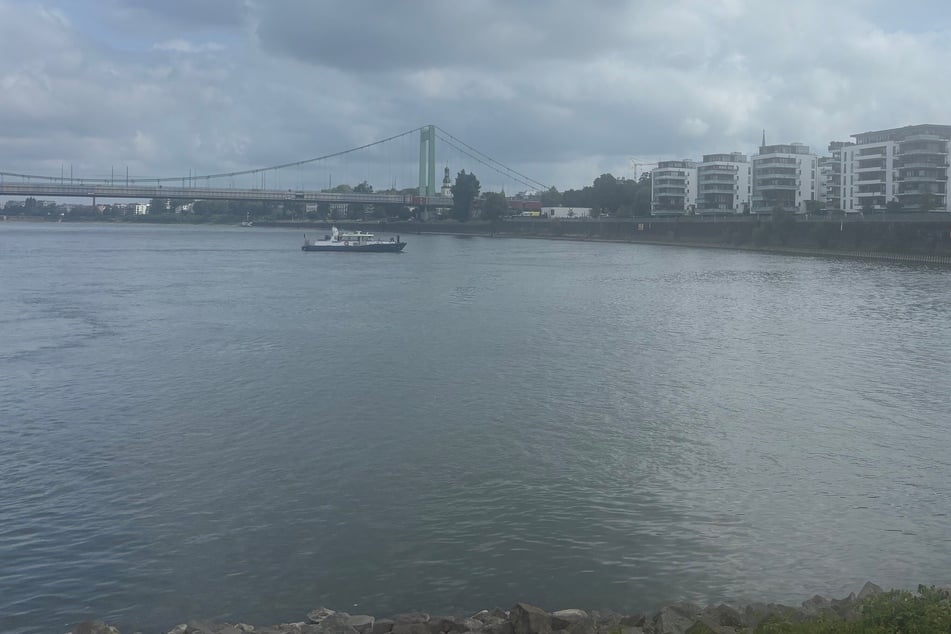 ... als sie sich wagemutig in den Rhein stürzte.