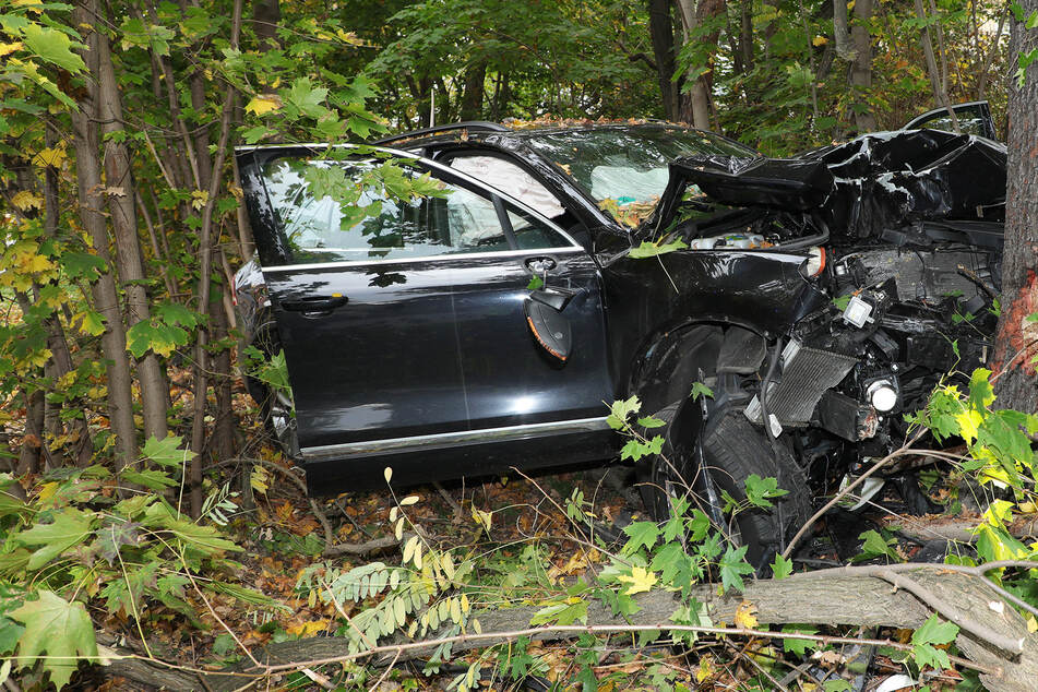 Unfall in Dresden: Senior kracht gegen Baum und stirbt