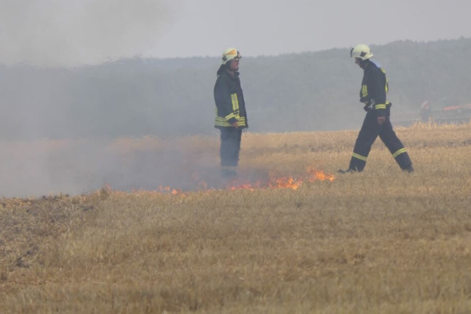 Auf dem knochentrockenen Boden fressen sich die Flammen leicht nach vorn.