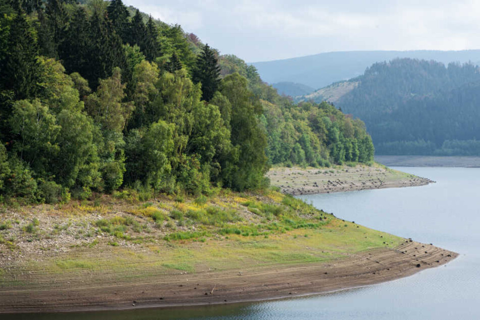Der Sösestausee ist bereits zu zwei Dritteln leer. Die Harzwasserwerke denken über neue Speichermöglichkeiten nach.