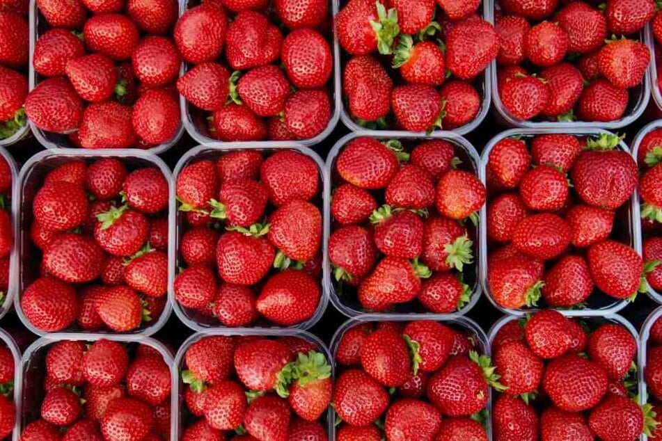 Erdbeeren belegen Platz 5 der beliebtesten Obstsorten der Deutschen