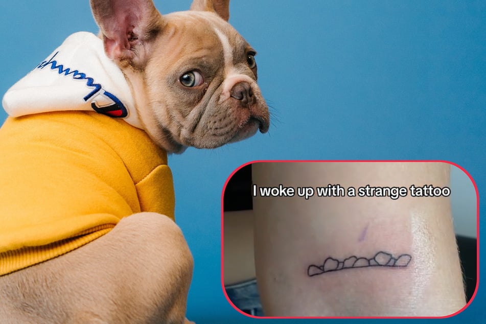 Dog lover gets tattoo in honor of her bulldog's most adorable feature