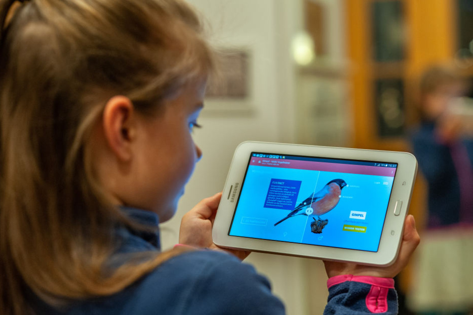 Elisa (7) probiert schon mal die App aus, mit der ab morgen wieder die Vögel gezählt werden.