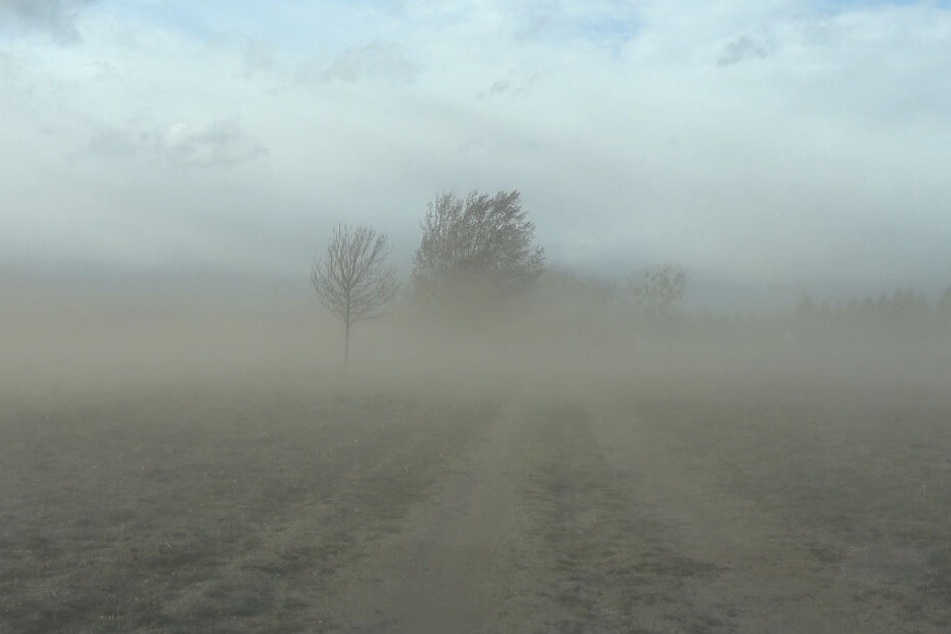 Naturschauspiel in der Altmark: Ein heftiger Sandsturm fegte am Montagnachmittag mit 80 bis 100 km/h über die Felder am Stadtrand von Gardelegen.