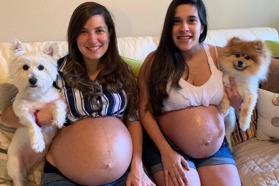Karina Rincon und Kelly Mesa mit ihren Baby-Bäuchen und Hündchen.