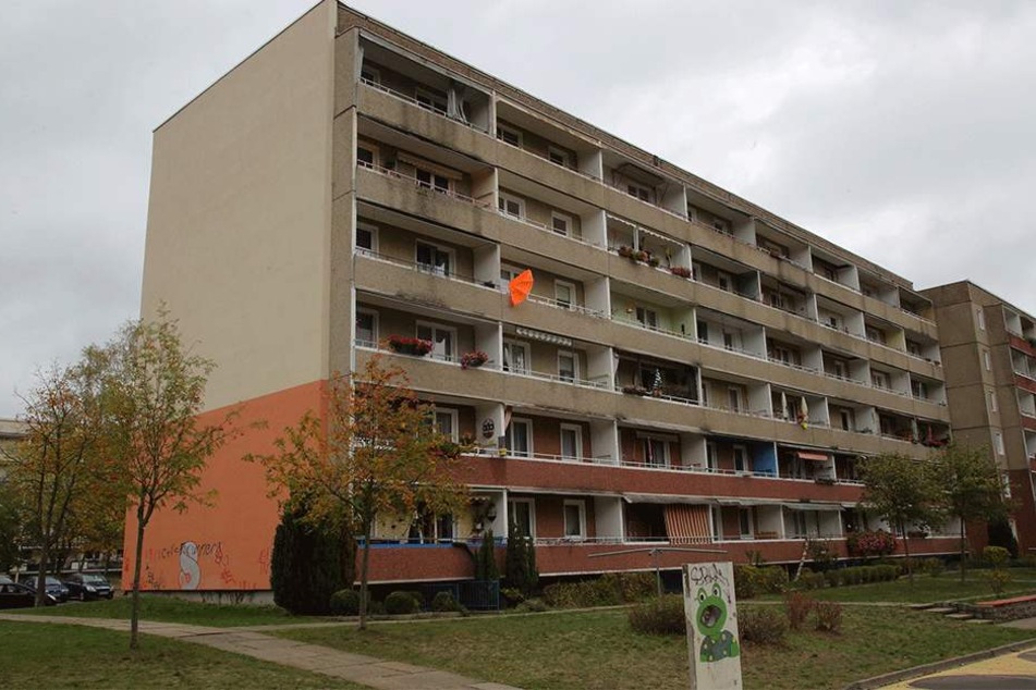 Vom Balkon im vierten Stock (ganz links) wurde das Tier geworfen.