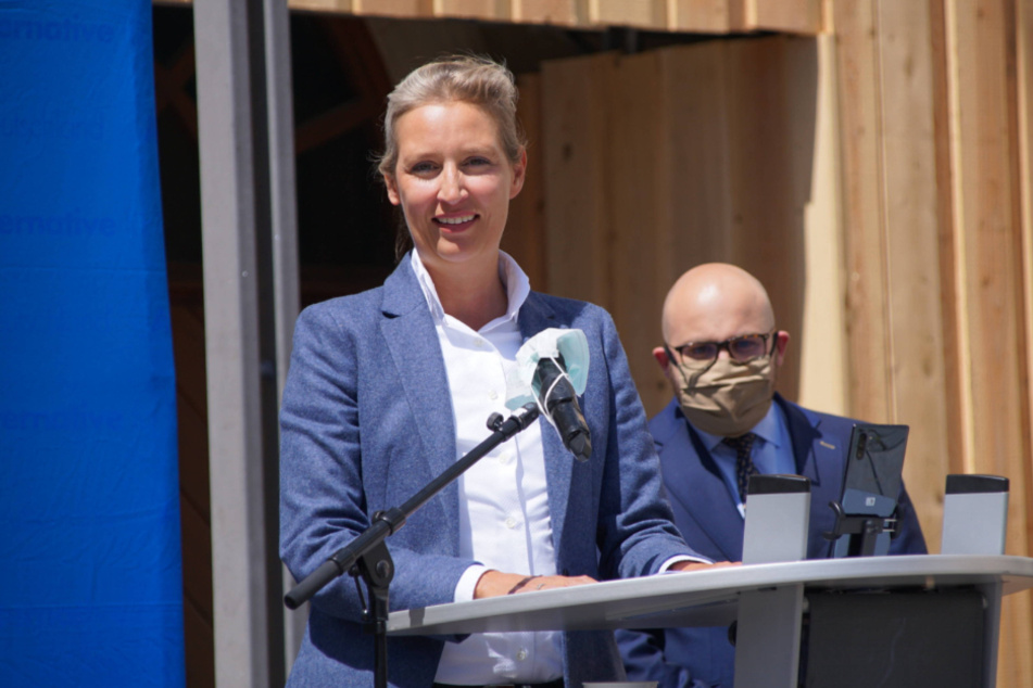 Die AfD-Landesvorsitzende Alice Weidel steht bei der Demonstration am Rednerpult.