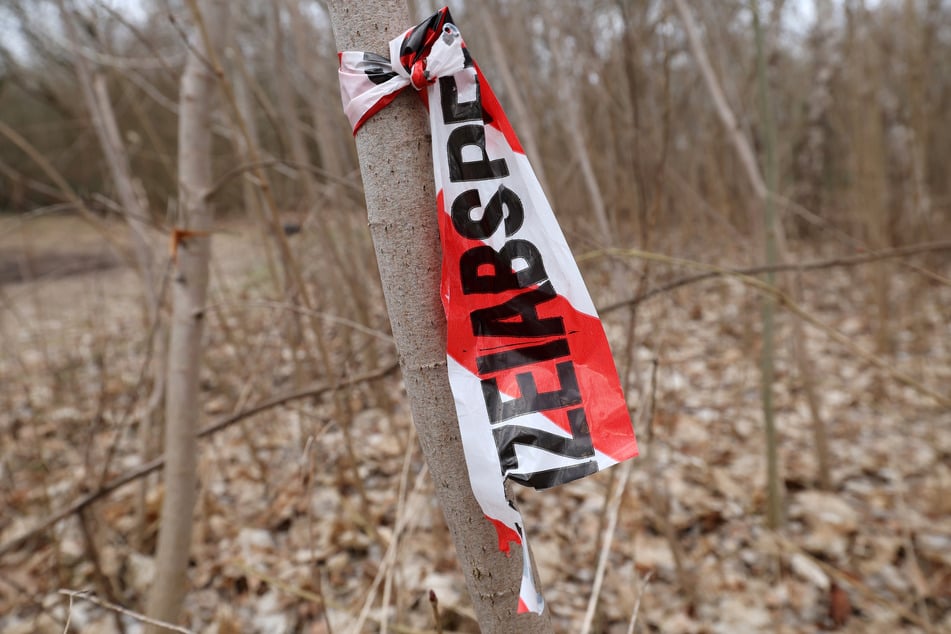 Waldarbeiter fanden die Leiche. (Symbolfoto)