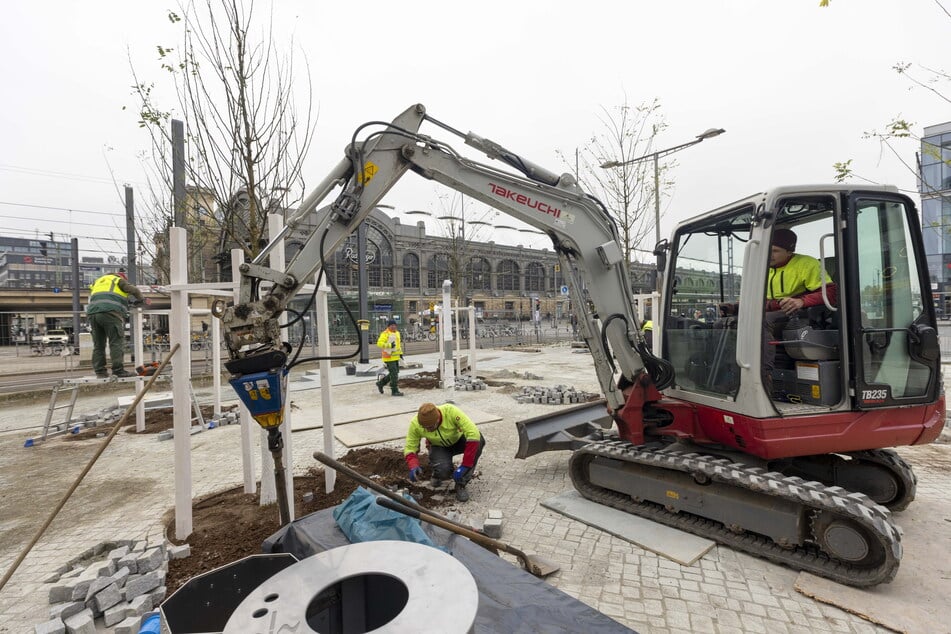 In der dicht bebauten Innenstadt sind Baumpflanzungen besonders kostspielig, da meist Leitungen im Boden verlaufen und der Platz begrenzt ist.