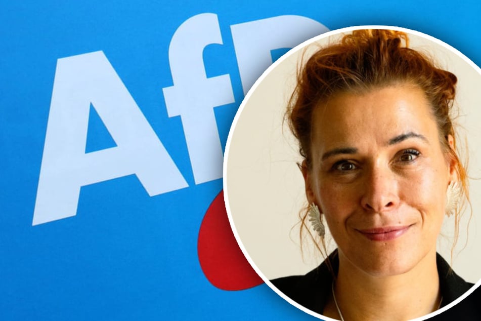 Linken-Vorstand für AfD-Verbot: "Menschenfeindlicher Charakter unübersehbar"