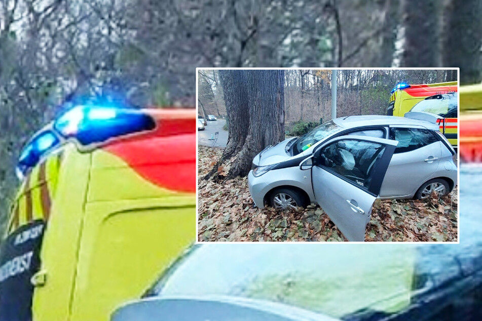 Autofahrer kracht in Zwickau gegen Baum und wird schwer verletzt