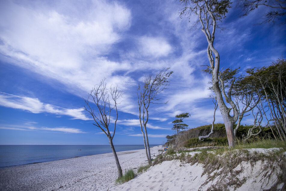 Die Ostsee bei Prerow, Mecklenburg-Vorpommern.