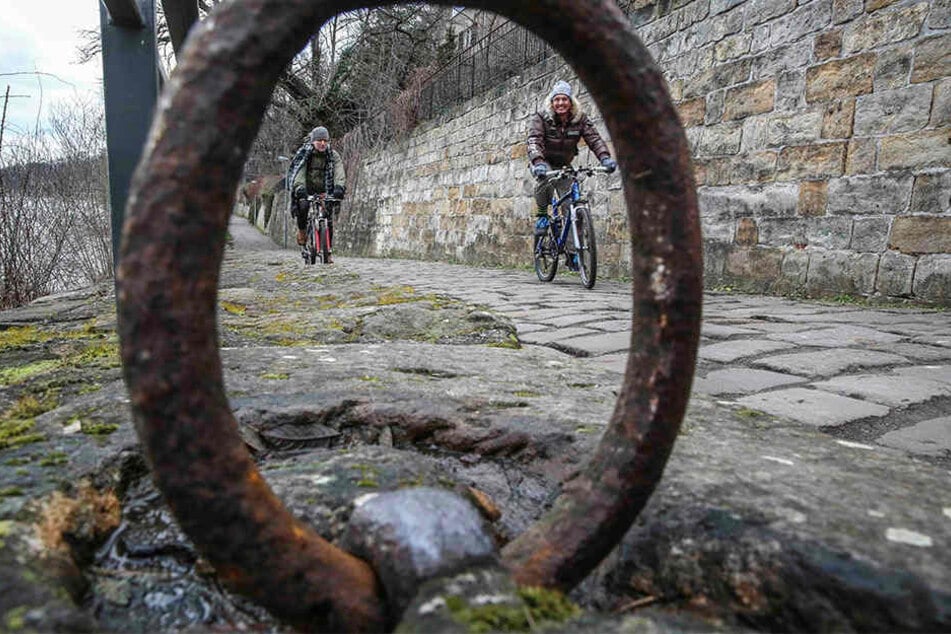 Im Frühjahr soll der holprige Körnerweg am Elberadweg neuen Belag erhalten.