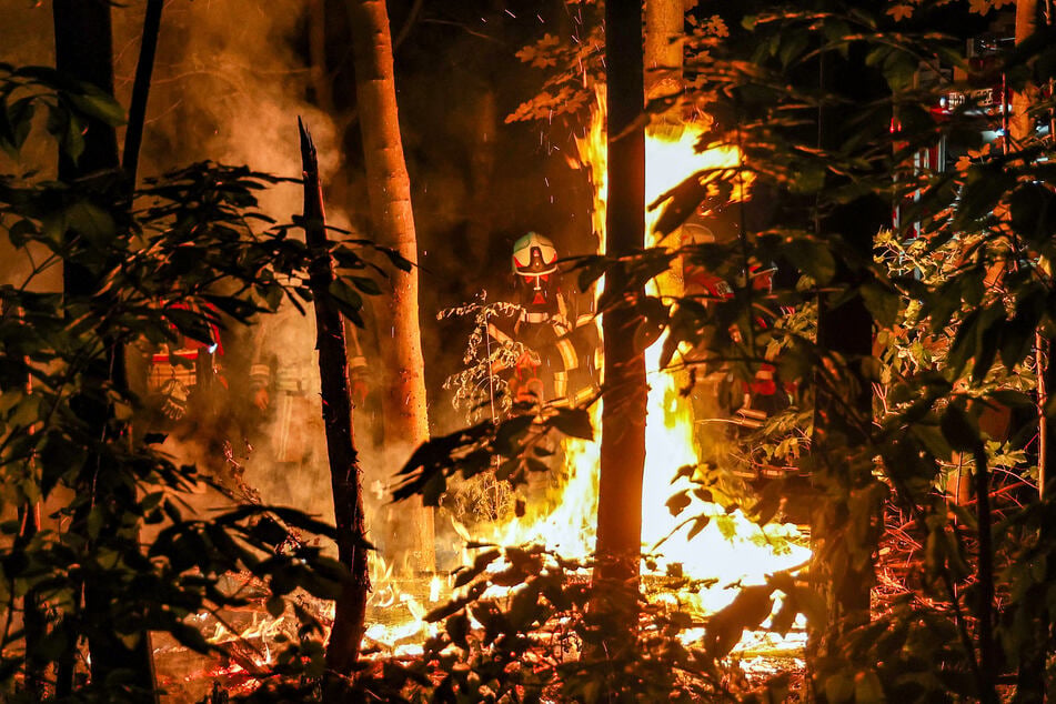 Feuerwehreinsätze in Sachsen: Meterhohe Flammen in Wald, Wiesen- und Heckenbrand