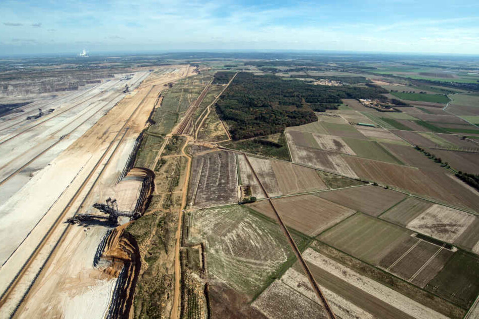 Der Hambacher Forst am Braunkohlegebiet von RWE