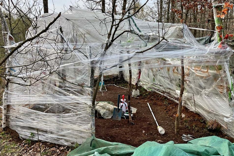 Zeugen entdeckten das auffällige Zelt in einem Waldgebiet in Bergheim.