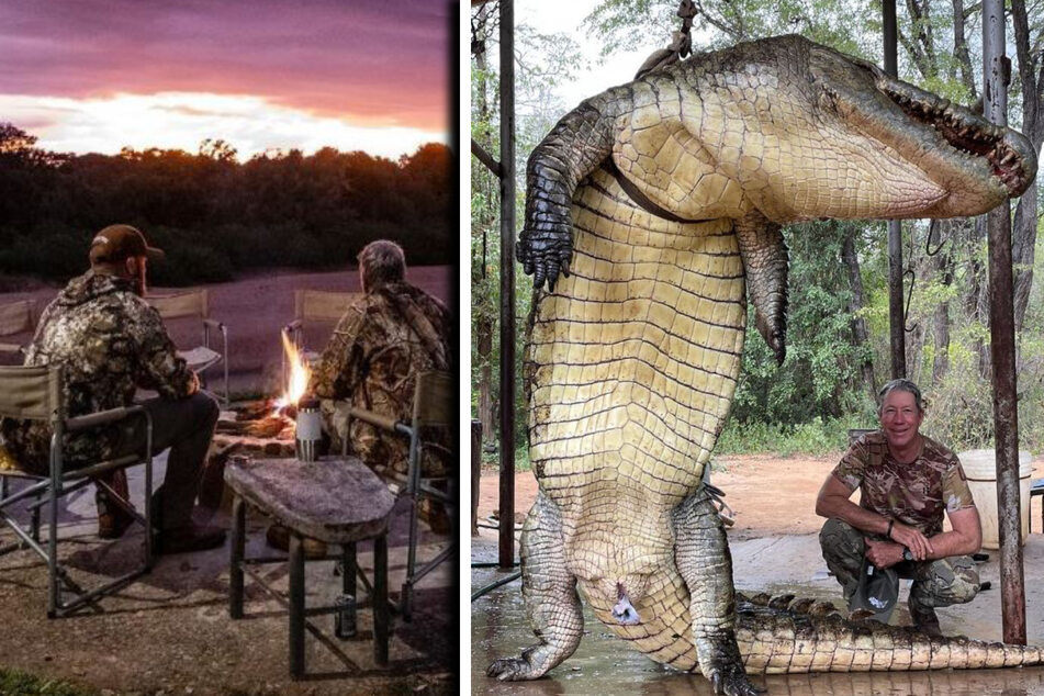 Fünf Tage auf der Lauer: Jäger erlegt riesiges "Menschenfresser-Krokodil"