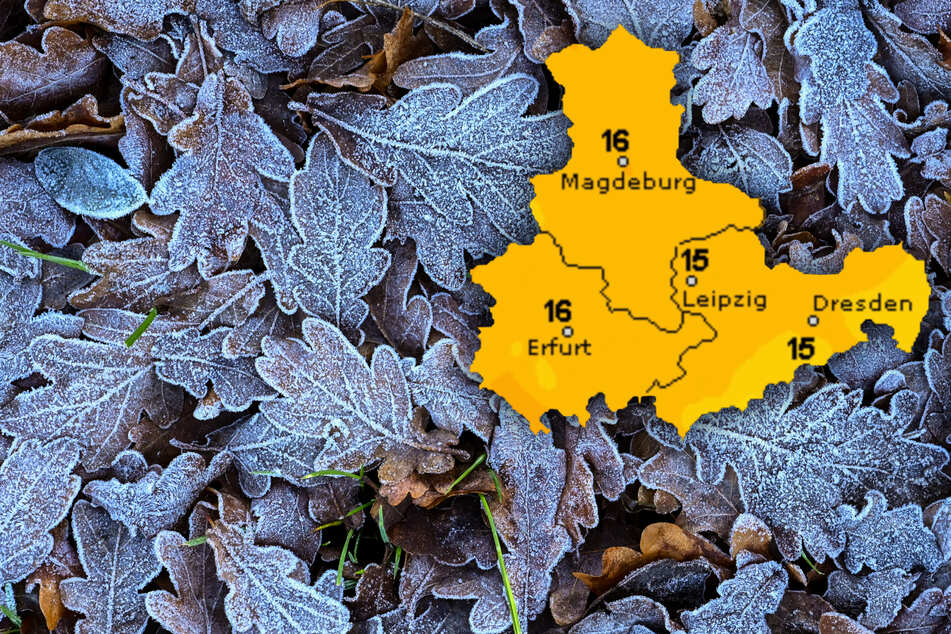 Bodenfrost! Jetzt kommt die Kälte in den Osten