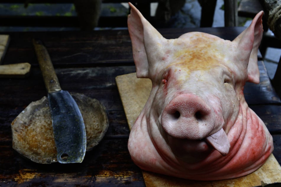 Dorf in Aufruhr: Wer legte die Schweineköpfe vor das Haus des Bürgermeisters?