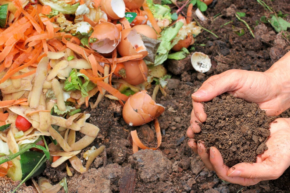 Man kann alte Pflanzenerde auch auf einem Komposthaufen entsorgen.