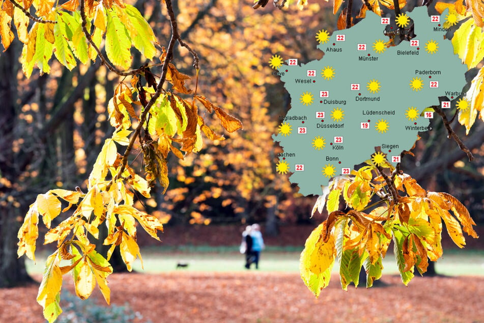 Nach zuletzt trübem Wetter: Neue Woche in NRW startet mit Sonnenschein