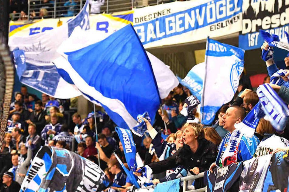 Gegen Deggendorf hatten die Eislöwen-Anhänger Grund zum Jubeln. Diesmal geht es per Sonderzug nach Hessen.