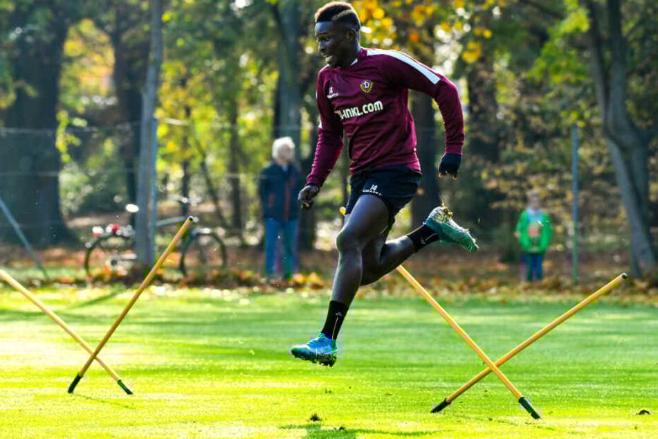 Moussa Koné ist weiterhin Dynamos wertvollster Spieler.