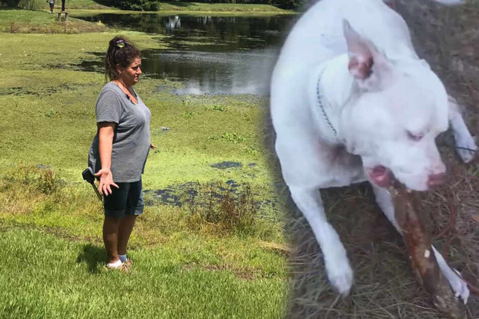 Cynthia Robinson ist geschockt. Ihr Hund Tank wurde gefressen - von einem Krokodil.
