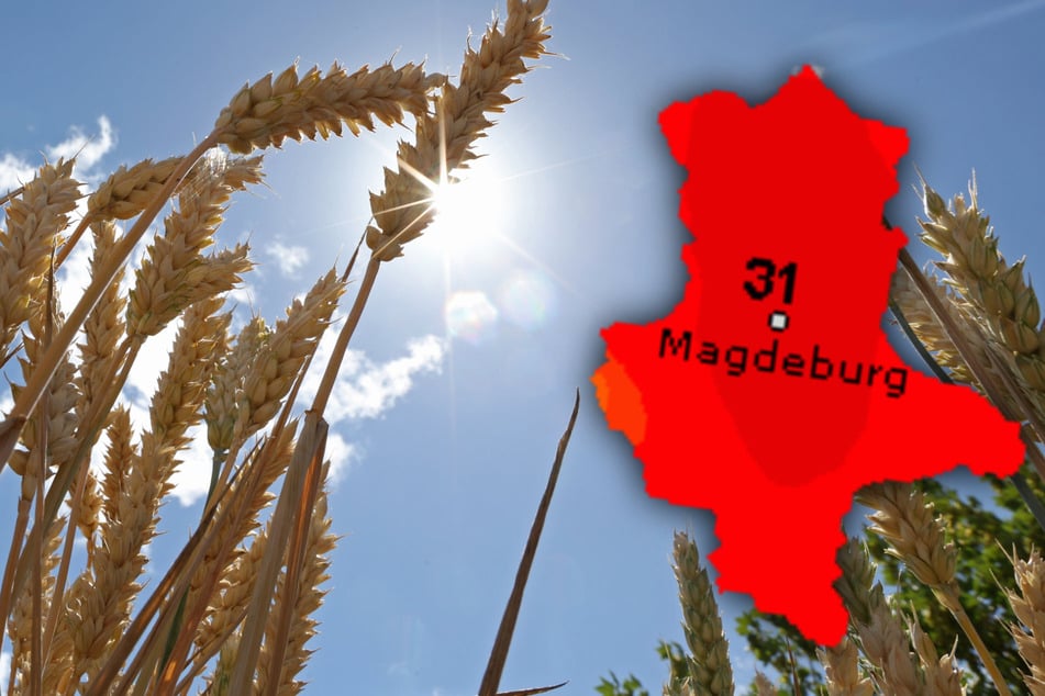 Am Wochenende wird in Sachsen-Anhalt wieder die 30-Grad-Marke geknackt. (Symbolbild)
