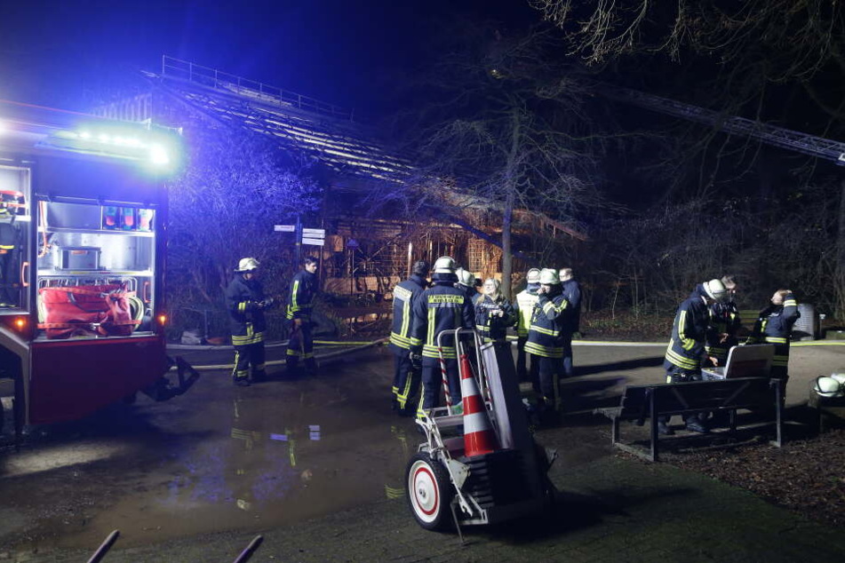 Die Feuerwehr im Einsatz im Zoo Krefeld.