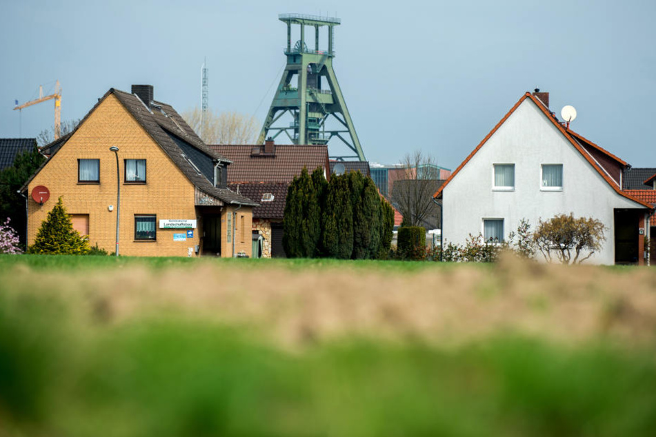 Die Betrüger geben sich bei Haubesitzern als Dachdecker aus (Symbolbild)