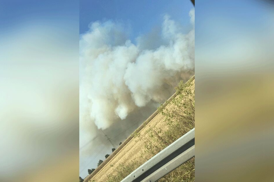 Feuerwehr und Landwirte brachten den Brand gegen Mittag unter Kontrolle.