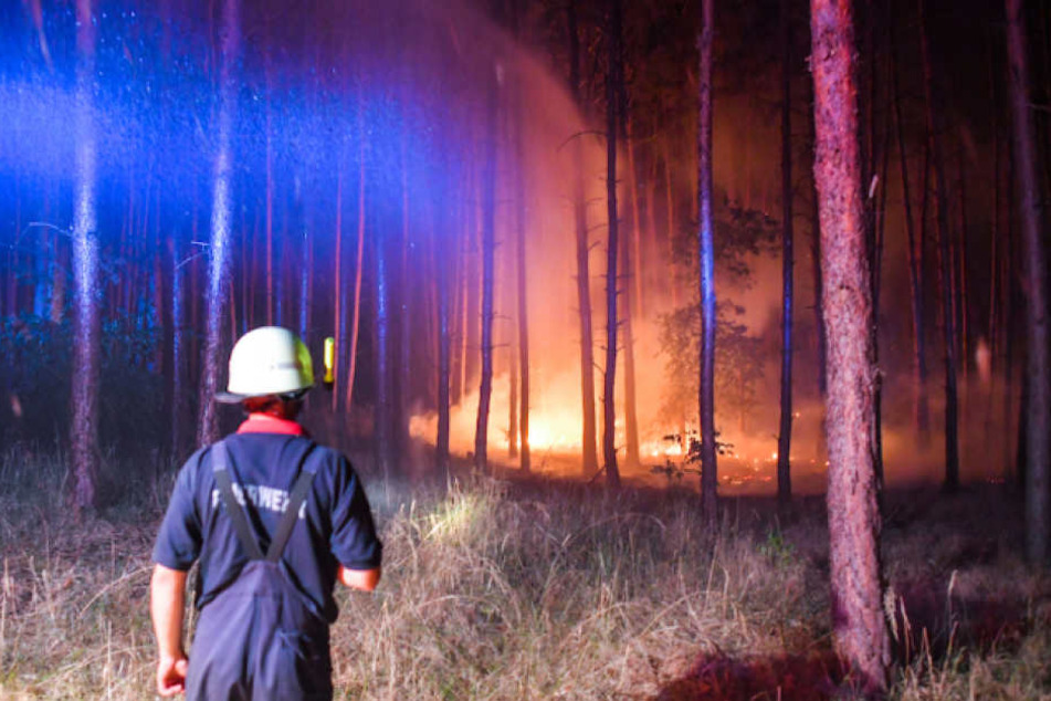 Ein Feuerwehrmann kämpft gegen die Flammenwand in der Nähe von Klausdorf.