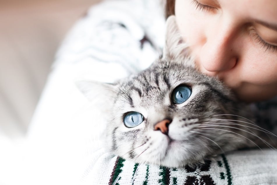 Spüren Katzen gute Menschen? Der Faktencheck