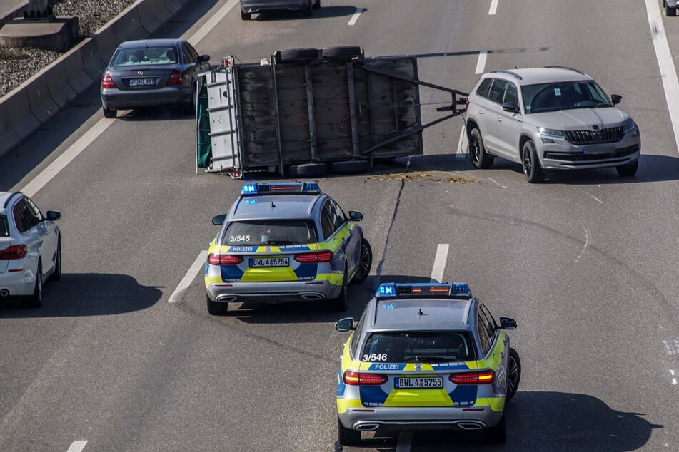 Tierisches Chaos und Sperrung auf der Autobahn: Bulle befreit sich aus seinem Anhänger!