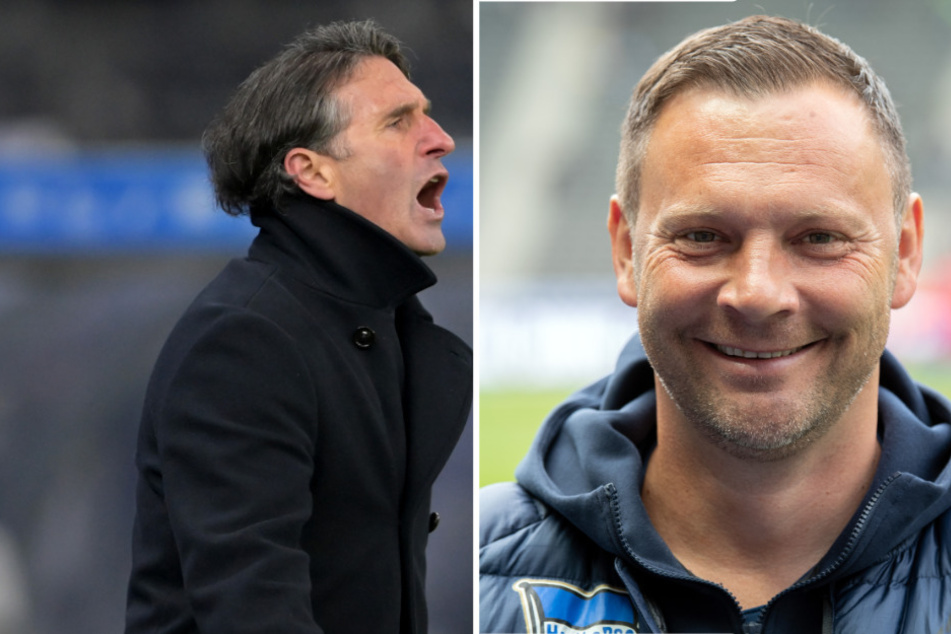 Der alte Hertha-Coach Pal Dardai (r.,44) könnte Bruno Labbadia (54) beerben.