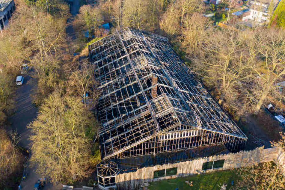 Das abgebrannte Affenhaus ist nach dem Brand in der Silvesternacht im Krefelder Zoo zu sehen. (Aufnahme mit einer Drohne).