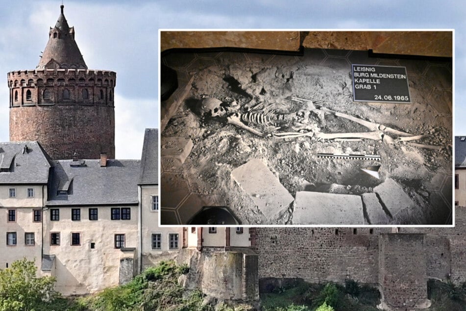 "Cold Case" auf dieser Burg in Sachsen: Besucher lösen das Knochen-Rätsel