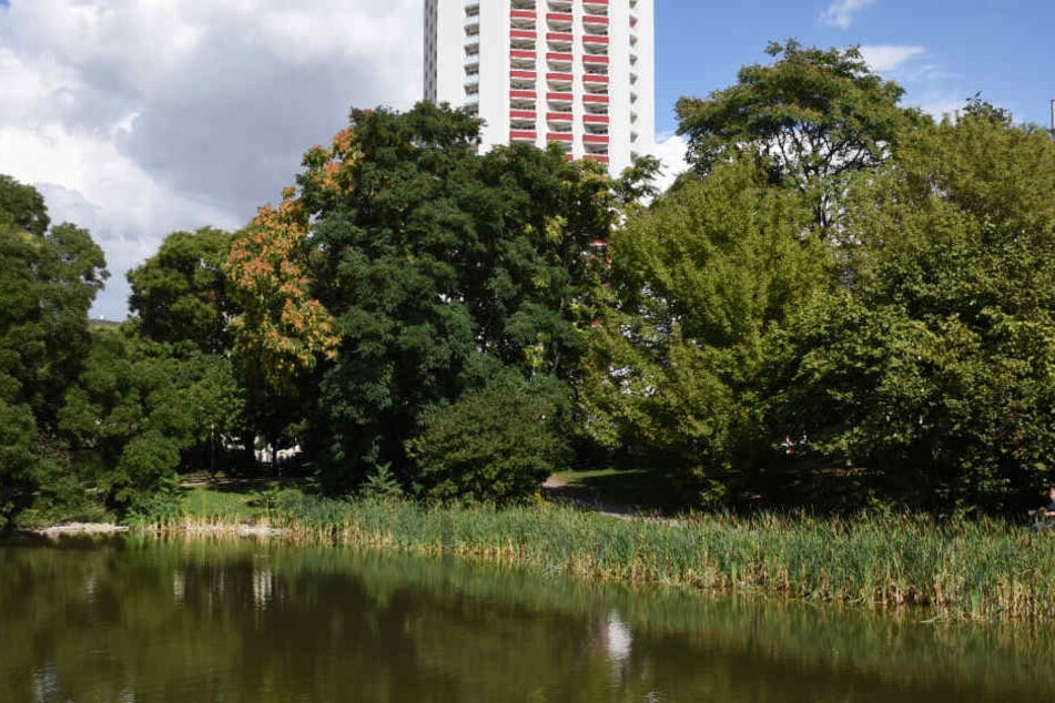 Die Anlage wurde kurz nach Eröffnung der Leipziger Oper neu angelegt. Jetzt ist der Park in die Jahre gekommen.