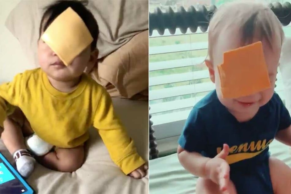 Käse auf Babys werfen: Ist das die dämlichste Challenge aller Zeiten?