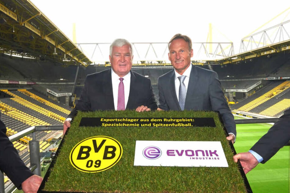 Bvb Mit Neuem Brustsponsor So Kostlich Reagiert Erzfeind Schalke 04 Tag24