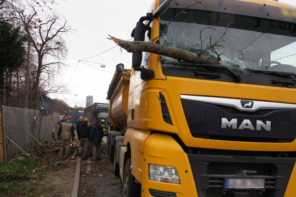 Die Windschutzscheibe des Lastwagens wurde vom Ast durchbohrt.