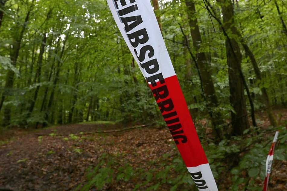 In einem Wald bei Mittweida wurde am Freitag eine Leiche entdeckt.