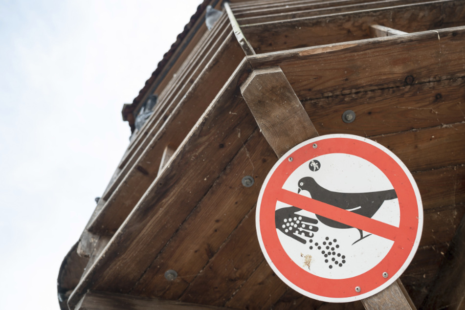 Ein Schild weist an einem Taubenturm auf das Fütterungsverbot hin. Tierschützer fordern das Fütterungsverbot für Tauben aufzuheben, denn aufgrund des Corona-Lockdowns fielen nicht mehr so viele Essensreste von Imbissen und Restaurants in den Innenstädten ab.