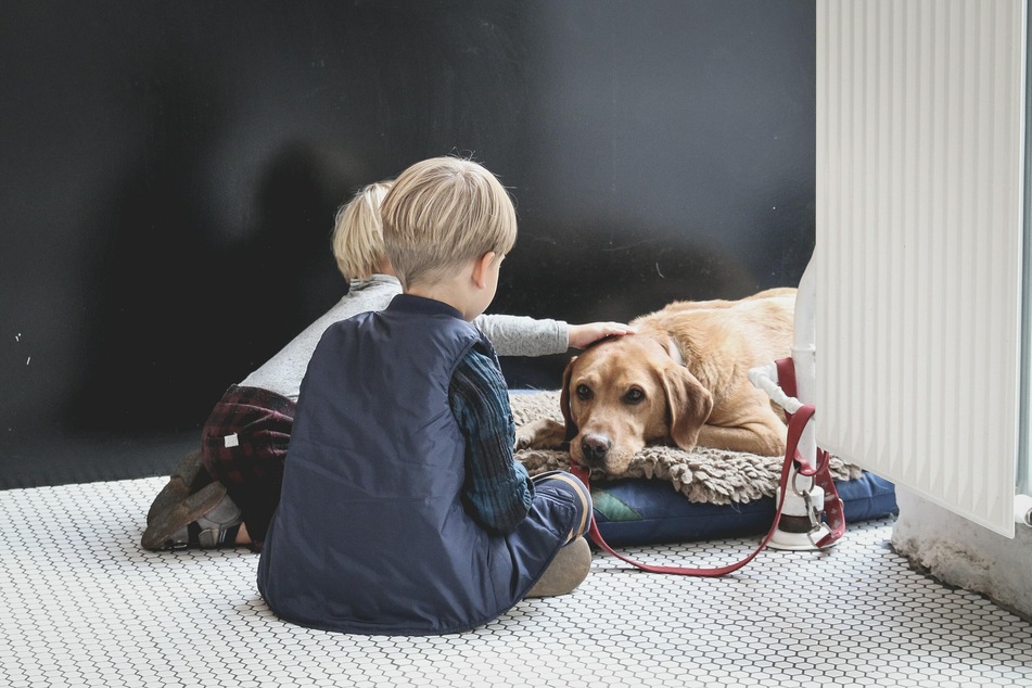 Achte darauf, dass der ängstliche Hund schwierigen Situationen nicht hilflos ausgeliefert ist.