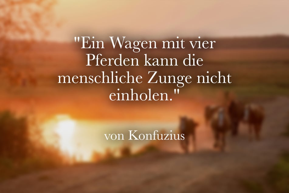 "Ein Wagen mit vier Pferden kann die menschliche Zunge nicht einholen."