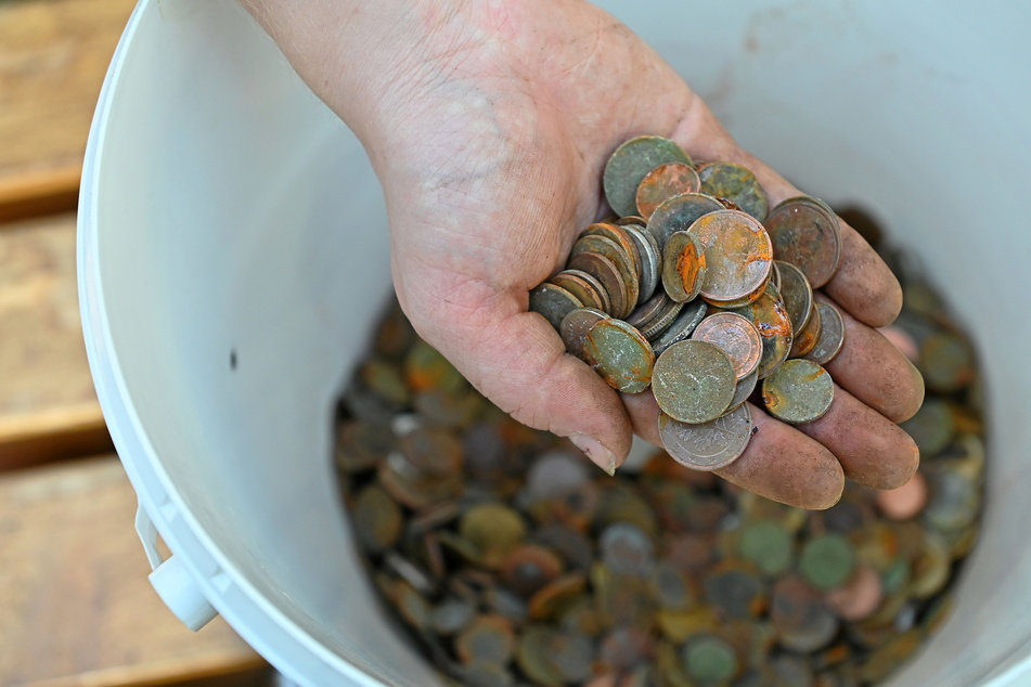 Jedes Jahr wieder sammeln Zoomitarbeiter zahlreiche Münzen aus seinem Becken.