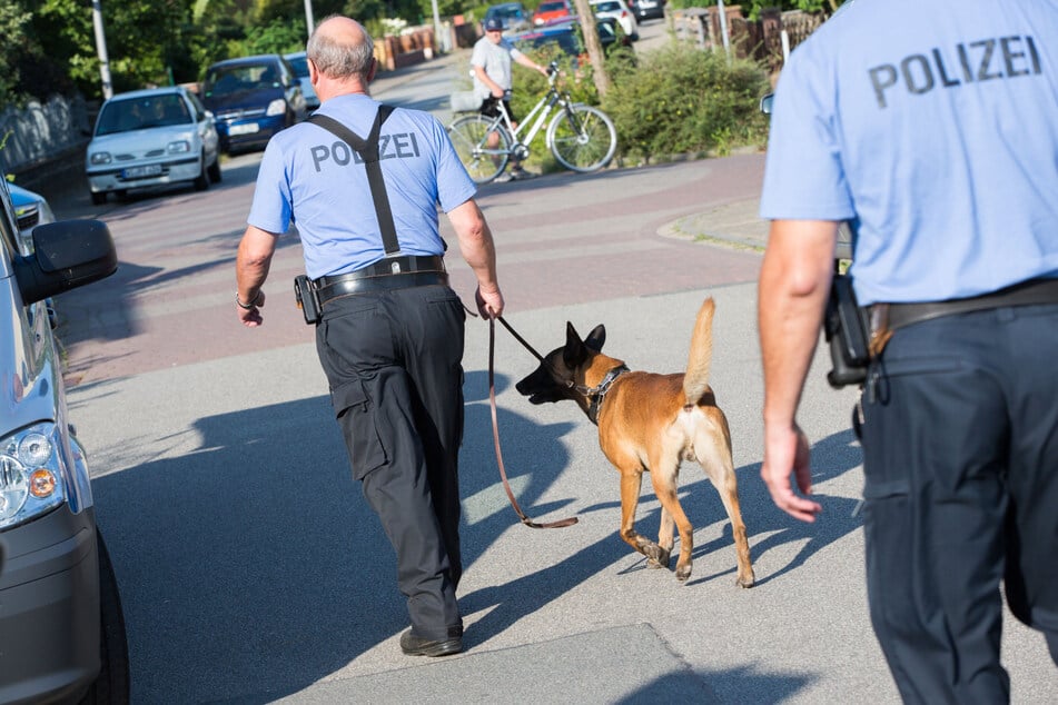 Mit einem Spürhund wurde die Wohnung des Verdächtigen erfolgreich durchsucht. (Symbolbild)