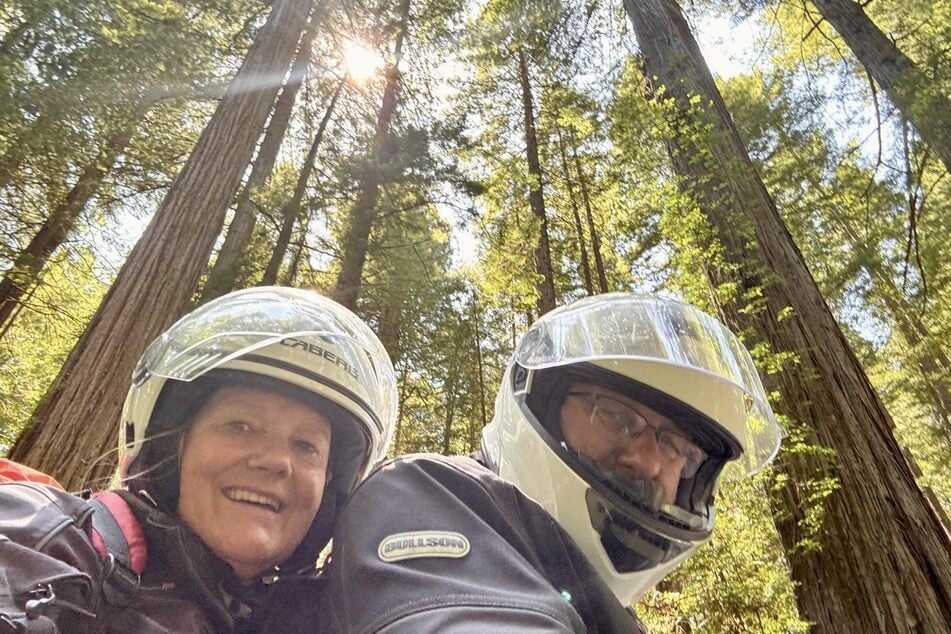 Heid (64) und Bernd Rippert fahren durch die Redwoods in North Carolina.